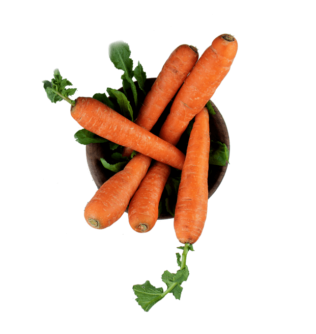 374773b9-freshgrains-carrot-2.png